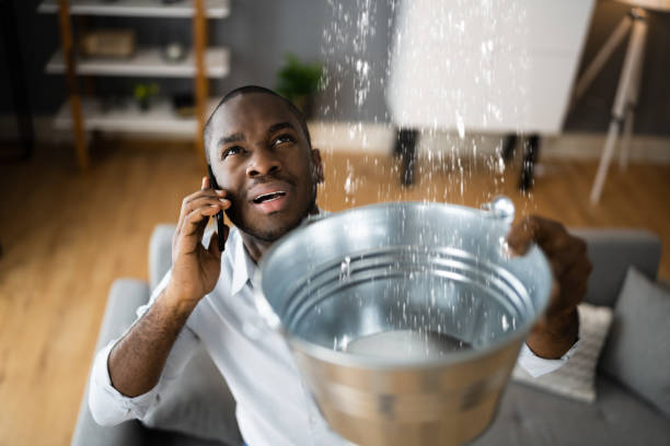 Best Water damage contractors near me  in Chester, PA