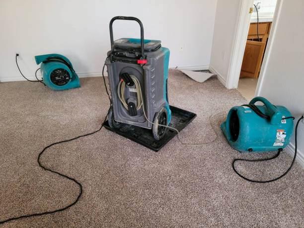 Best Water damage restoration mold remediation  in Chester, PA
