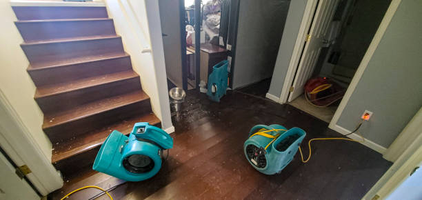 Best Water damage mitigation services  in Chester, PA